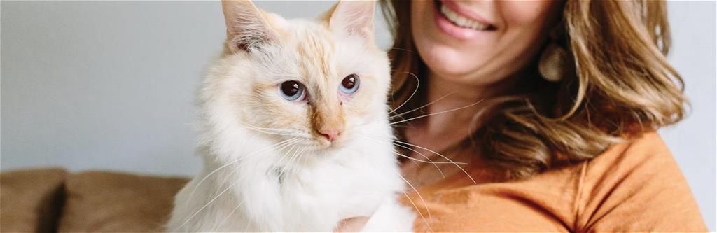 Cat Insurance | Best Health Insurance Plans for Cats ...