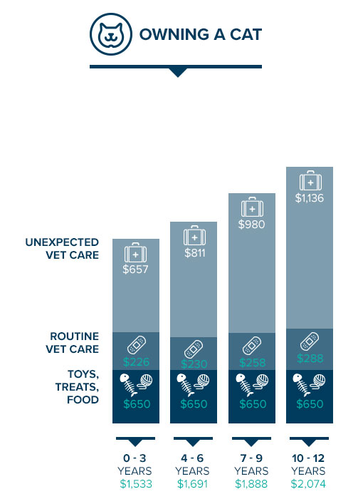 Cat-PetCost-Page-Desktop The cost of owning a cat increases as they age due to the unexpected vet care they are more likely to need.