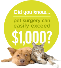 Pets Best Vet Direct Pay Did you know... pet surgery can easily exceed $1,000?