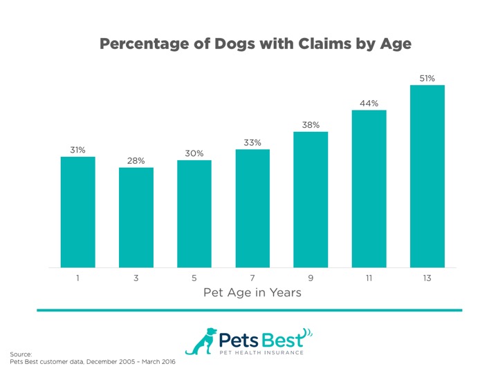New Dog Owner's Guide Pets Best tips for bringing your new dog home