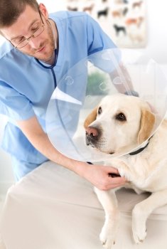 Pet Health,pet health insurance,aspca pet health insurance,fuzzy pet health,pet health pharmacy