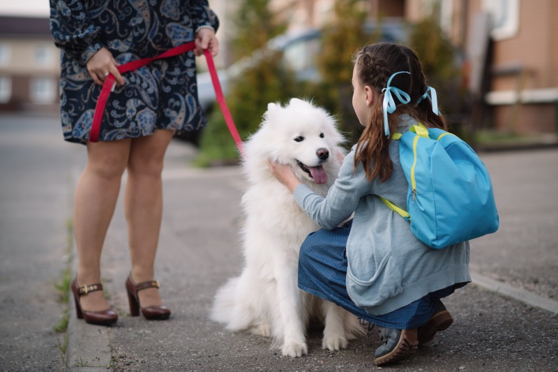 Back to School and Pets: How to Help Them Adjust