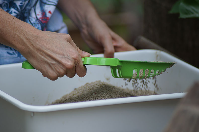 How to make my kitten use the hotsell litter box