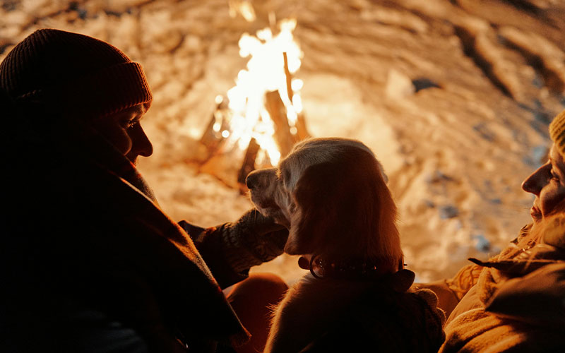 Ensuring Pet Safety: Essential Tips for Preventing, Preparing For and Responding to Fires