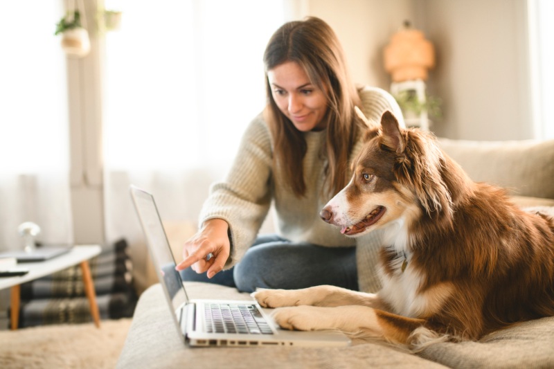 What Does Pet Insurance Cost in 2026?