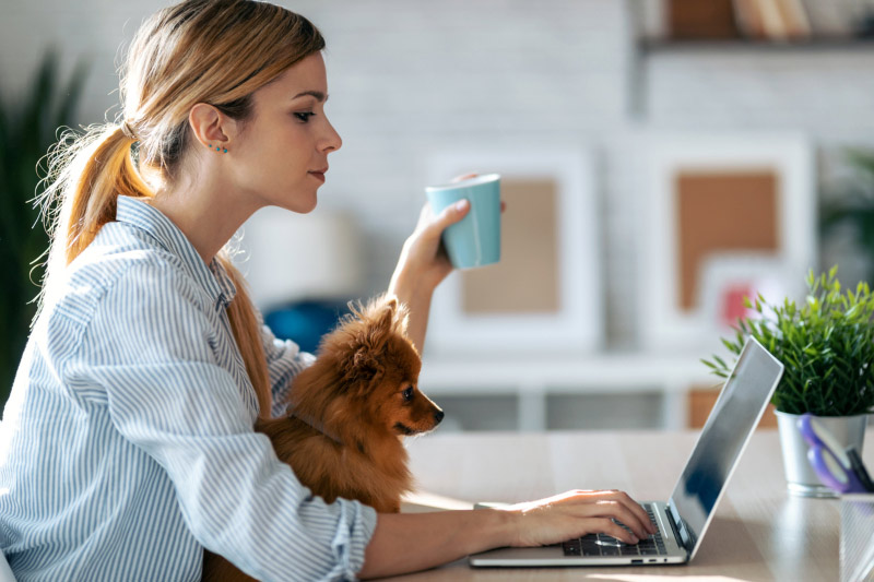 Should You Switch Pet Insurance Providers to Keep Costs Down?