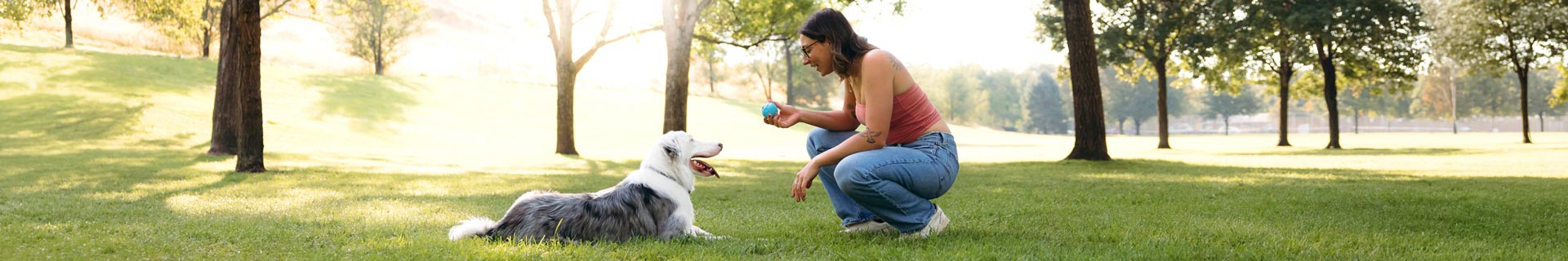 Woman playing with dog in park
